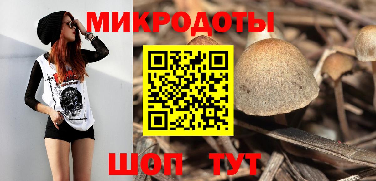 Благодарный  Псилоцибиновые грибы Psilocybe  Вход с VPN  Псилоцибиновые грибы мицелий 